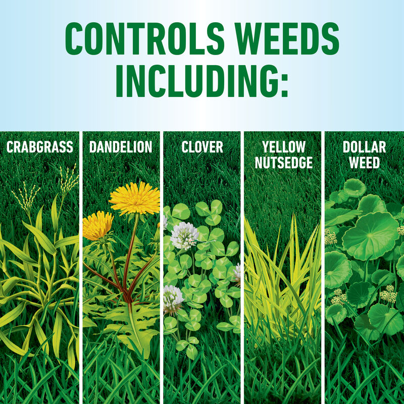 Roundup® For Lawns₁ image number null